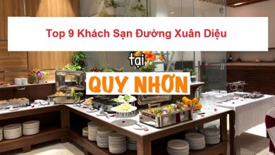 - Top 8 Khách Sạn Trên Đường Xuân Diệu Quy Nhơn, Bình Định - Top 8 Khách Sạn Trên Đường Xuân Diệu Quy Nhơn, Bình Định