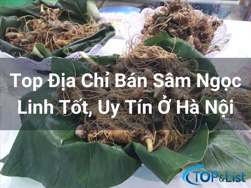 Top 10 Địa Chỉ Bán Sâm Ngọc Linh Ở Hà Nội Uy Tín - Top 10 Địa Chỉ Bán Sâm Ngọc Linh Ở Hà Nội Uy Tín Top 10 Địa Chỉ Bán Sâm Ngọc Linh Ở Hà Nội Uy Tín