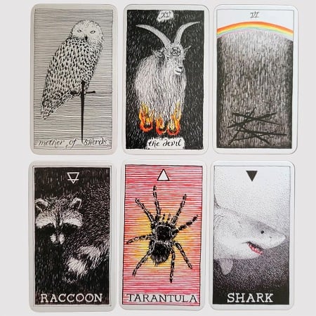 Review bộ bài Wild Unknown Animal Spirit Deck - Wild Unknown Animal Spirit Deck: Giúp Tâm Trí Bay Xa Review bộ bài Wild Unknown Animal Spirit Deck
