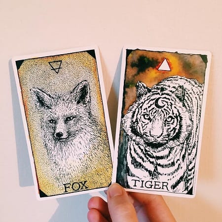 - Wild Unknown Animal Spirit Deck: Giúp Tâm Trí Bay Xa - Wild Unknown Animal Spirit Deck: Giúp Tâm Trí Bay Xa