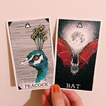 - Wild Unknown Animal Spirit Deck: Giúp Tâm Trí Bay Xa - Wild Unknown Animal Spirit Deck: Giúp Tâm Trí Bay Xa