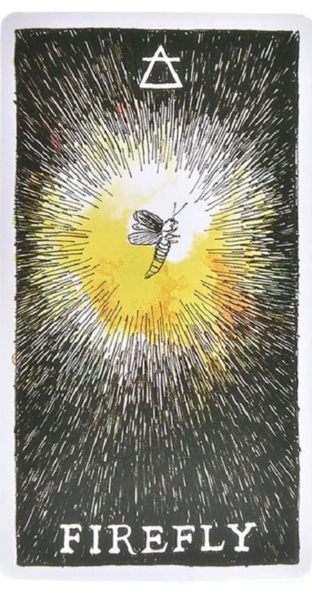 Đánh giá Wild Unknown Animal Spirit Deck - Wild Unknown Animal Spirit Deck: Giúp Tâm Trí Bay Xa Đánh giá Wild Unknown Animal Spirit Deck