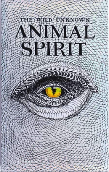 - Wild Unknown Animal Spirit Deck: Giúp Tâm Trí Bay Xa - Wild Unknown Animal Spirit Deck: Giúp Tâm Trí Bay Xa