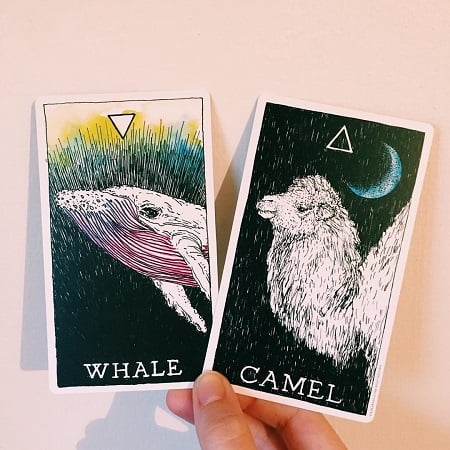 - Wild Unknown Animal Spirit Deck: Giúp Tâm Trí Bay Xa - Wild Unknown Animal Spirit Deck: Giúp Tâm Trí Bay Xa