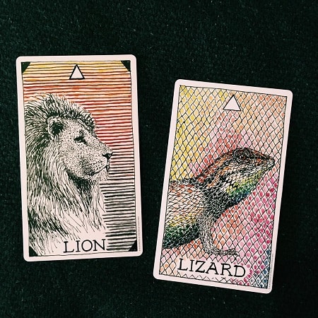 - Wild Unknown Animal Spirit Deck: Giúp Tâm Trí Bay Xa - Wild Unknown Animal Spirit Deck: Giúp Tâm Trí Bay Xa