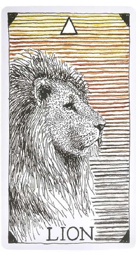 Bộ Wild Unknown Animal Spirit Deck có khó đọc - Wild Unknown Animal Spirit Deck: Giúp Tâm Trí Bay Xa Bộ Wild Unknown Animal Spirit Deck có khó đọc