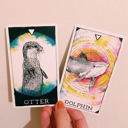 - Wild Unknown Animal Spirit Deck: Giúp Tâm Trí Bay Xa - Wild Unknown Animal Spirit Deck: Giúp Tâm Trí Bay Xa