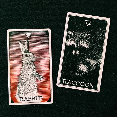 - Wild Unknown Animal Spirit Deck: Giúp Tâm Trí Bay Xa - Wild Unknown Animal Spirit Deck: Giúp Tâm Trí Bay Xa