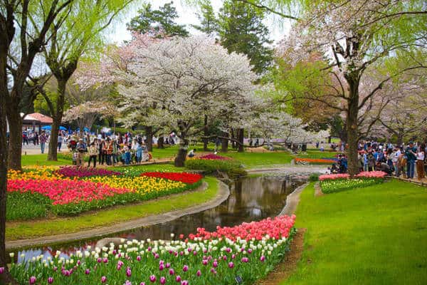 - Top 08 Công Viên Đẹp - Thoáng Mát Tại Sài Gòn
