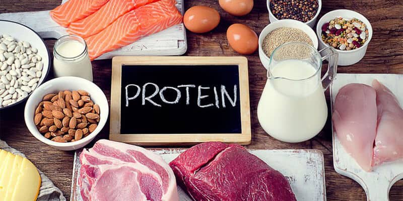 - Top 10 Thực Phẩm Bổ Sung Protein Cho Cơ Thể