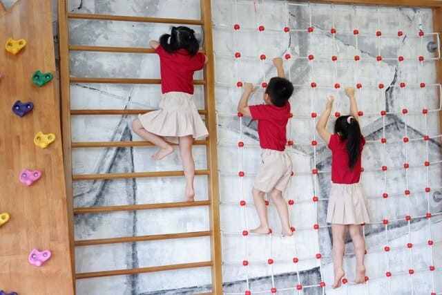 - Top 5 “Bí Kíp Vàng” Giúp Phát Triển Chiều Cao Trẻ Một Cách Tự Nhiên