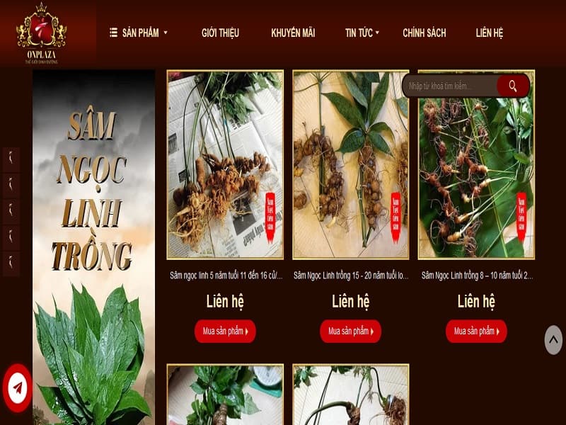 Sâm Ngọc Linh Onplaza: Xuất xứ, Công dụng, Cách dùng, Giá