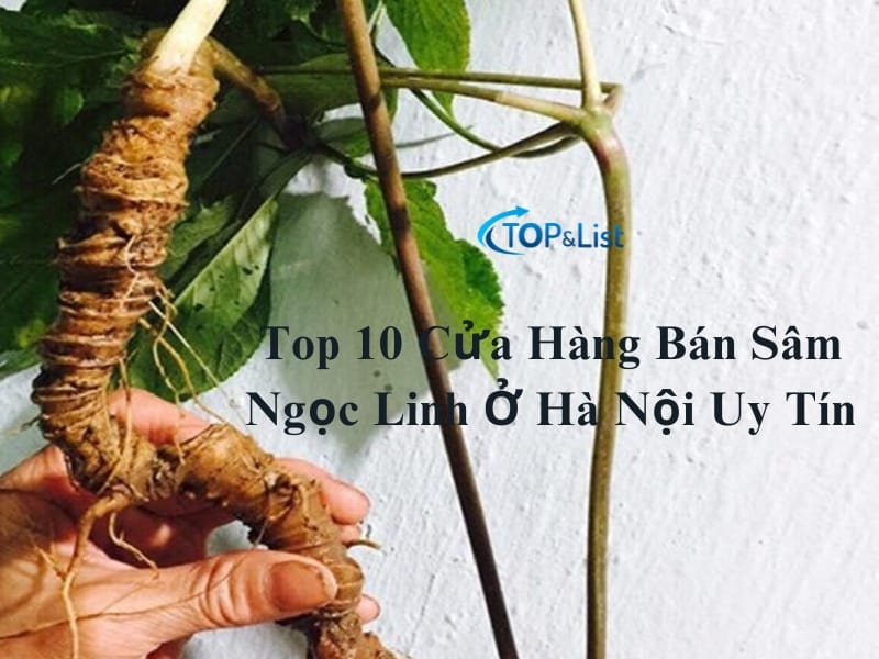 - Top 10 Cửa Hàng Bán Sâm Ngọc Linh Ở Hà Nội Uy Tín [year]