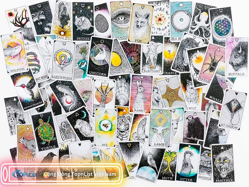 Wild Unknown Animal Spirit Deck: Giúp Tâm Trí Bay Xa